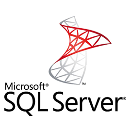 Custom Software Development - SQL Server